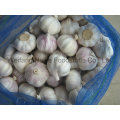 2015 New Crop Chinese Fresh Garlic